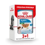 Вологий корм для цуценят Royal Canin Mini Puppy pouch 85 г, 3+1 шт - домашня птиця