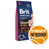 Сухий корм для цуценят та молодих собак великих порід (вагою від 25 до 45 кг) Brit Premium Junior L 15 кг (курка)