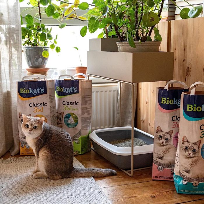 Наповнювач для котячого туалету Biokat's Bianco Fresh 10 кг - бентонітовий - masterzoo.ua