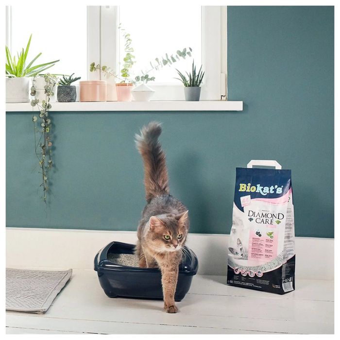 Наполнитель туалета для кошек Biokat's Diamond Fresh 8 л (бентонитовый) - masterzoo.ua
