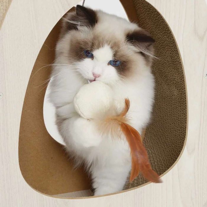 Когтеточка картонная Catit для кошек Pixi с игрушкой широкая 45 x 23,5 x 44 см - masterzoo.ua