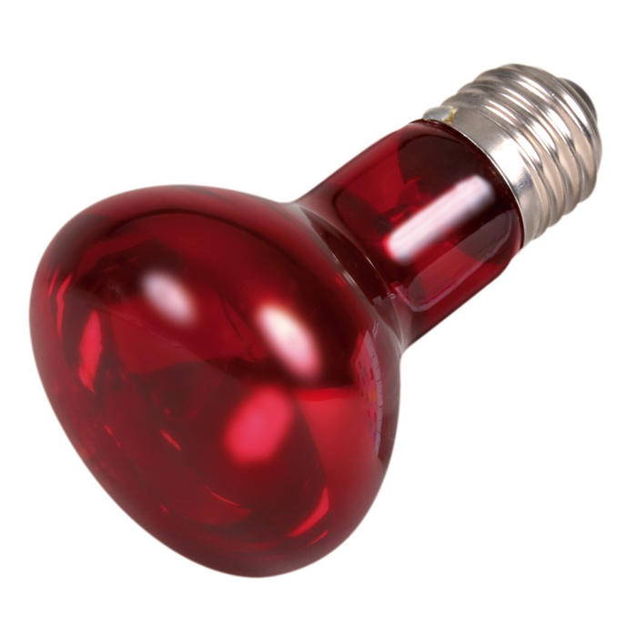 Инфракрасная лампа накаливания Trixie 50 W, E27 (для обогрева) - masterzoo.ua