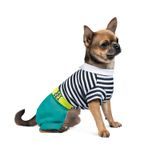 Костюм для собак Pet Fashion «Strip» XS (многоцветный)