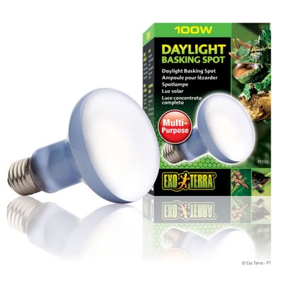 Лампа розжарювання з неодимовою колбою Exo Terra «Daylight Basking Spot» 100 W, E27 (для обігріву) - masterzoo.ua