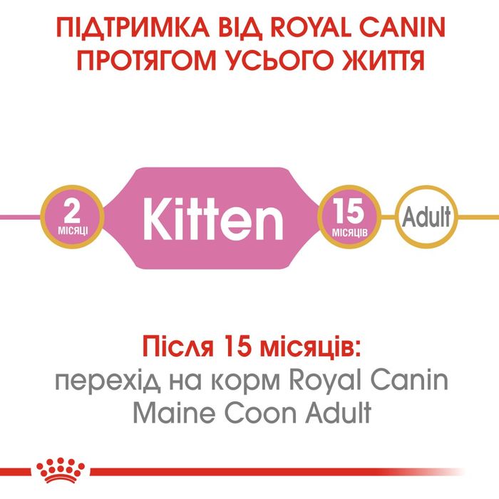 Корм для кошенят Royal Canin Maine Coon Kitten 2 кг + Вологий корм для кошенят Royal Canin Kitten pouch 12 шт х 85 г + інтерактивна годівниця - masterzoo.ua