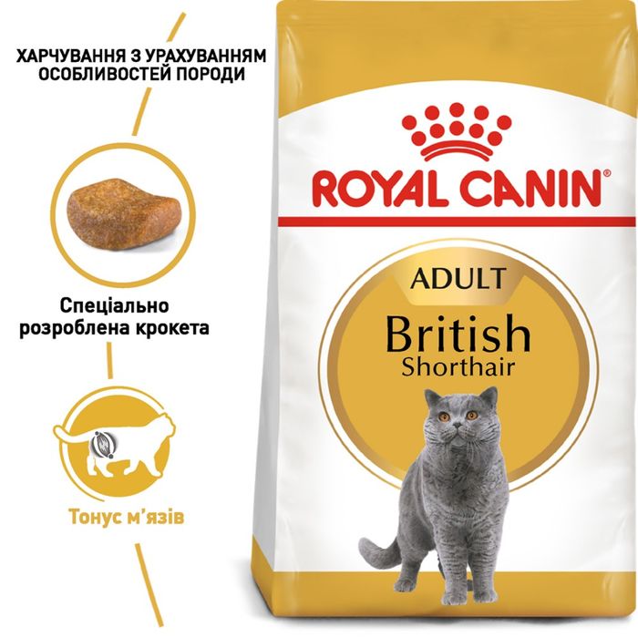 Сухий корм для котів Royal Canin British Shorthair 4 кг - домашня птиця + Catsan 5 л - masterzoo.ua
