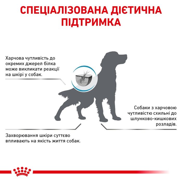 Сухий корм для собак, у разі харчової алергії Royal Canin Anallergenic 3 кг - домашня птиця - masterzoo.ua