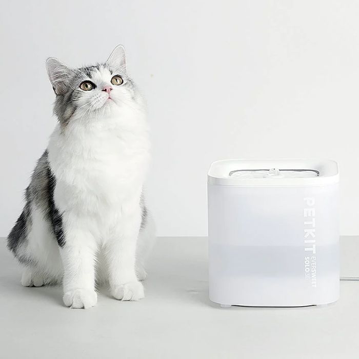 Поїлка для котів Petkit Eversweet Solo SE Smart Pet Drinking Fountain White 1,9 л - masterzoo.ua