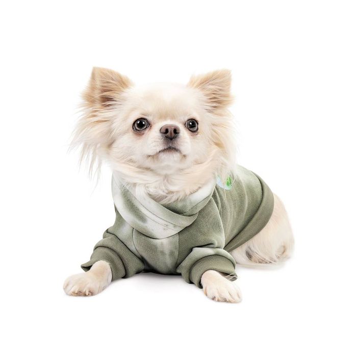 Худи для собак Pet Fashion Gray XS - masterzoo.ua