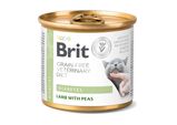 Влажный корм для кошек при сахарном диабете Brit VetDiets Diabetes , 200 г (ягненок и горох)