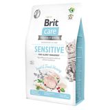 Сухой корм для кошек с пищевой непереносимостью Brit Care Cat GF Insect 2 кг - насекомые и рыба