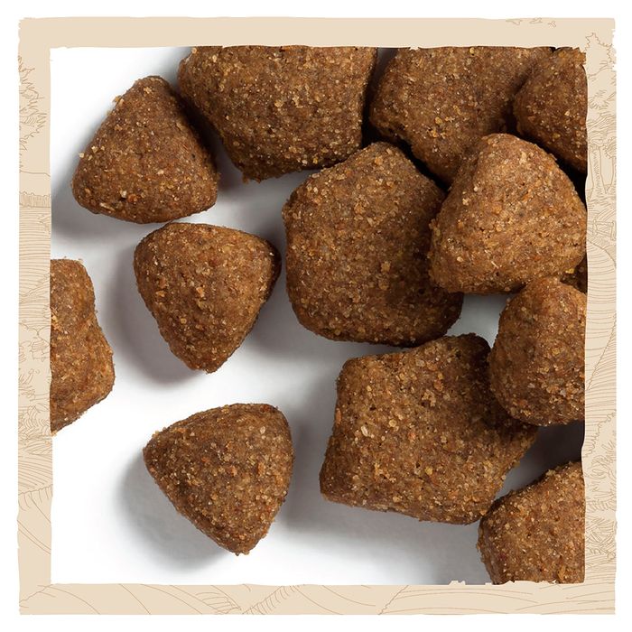 Сухой корм для взрослых собак всех пород Dog Chow Adult Lamb 14 кг (ягненок) - masterzoo.ua