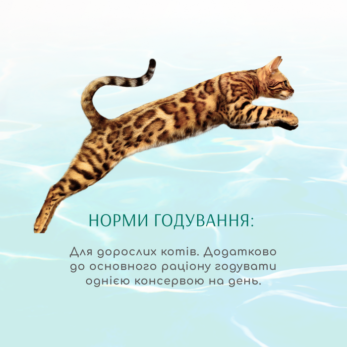 Влажный корм для кошек Optimeal Beauty Fitness 70 г (тунец с креветками) - masterzoo.ua