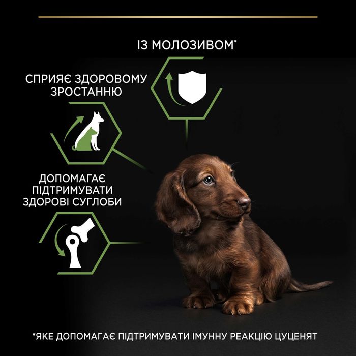 Сухий корм для цуценят та молодих собак Pro Plan Puppy Small & Mini 700 г - курка - masterzoo.ua