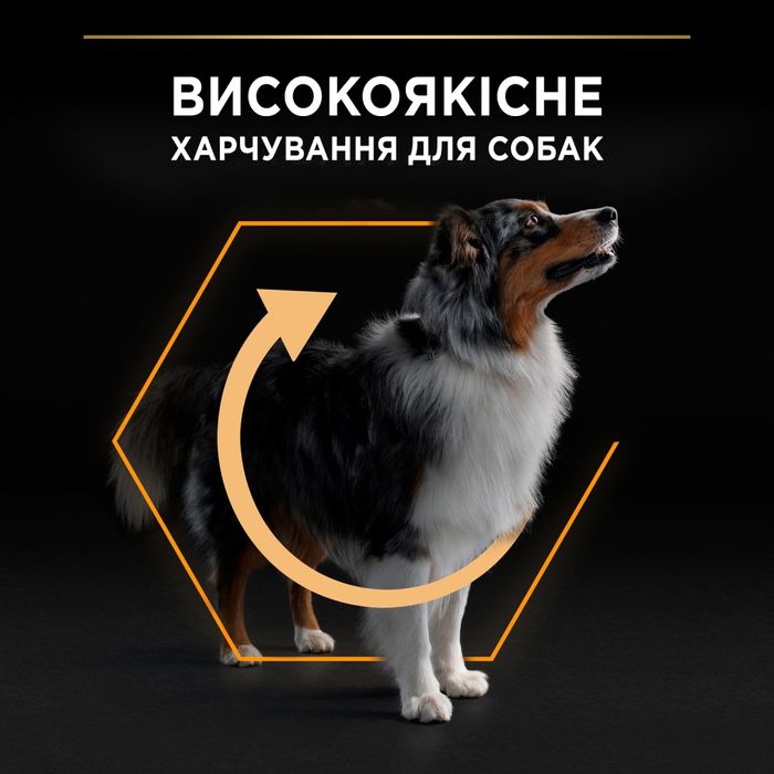 Сухий корм для собак Pro Plan Adult Medium 3 кг - курка - masterzoo.ua