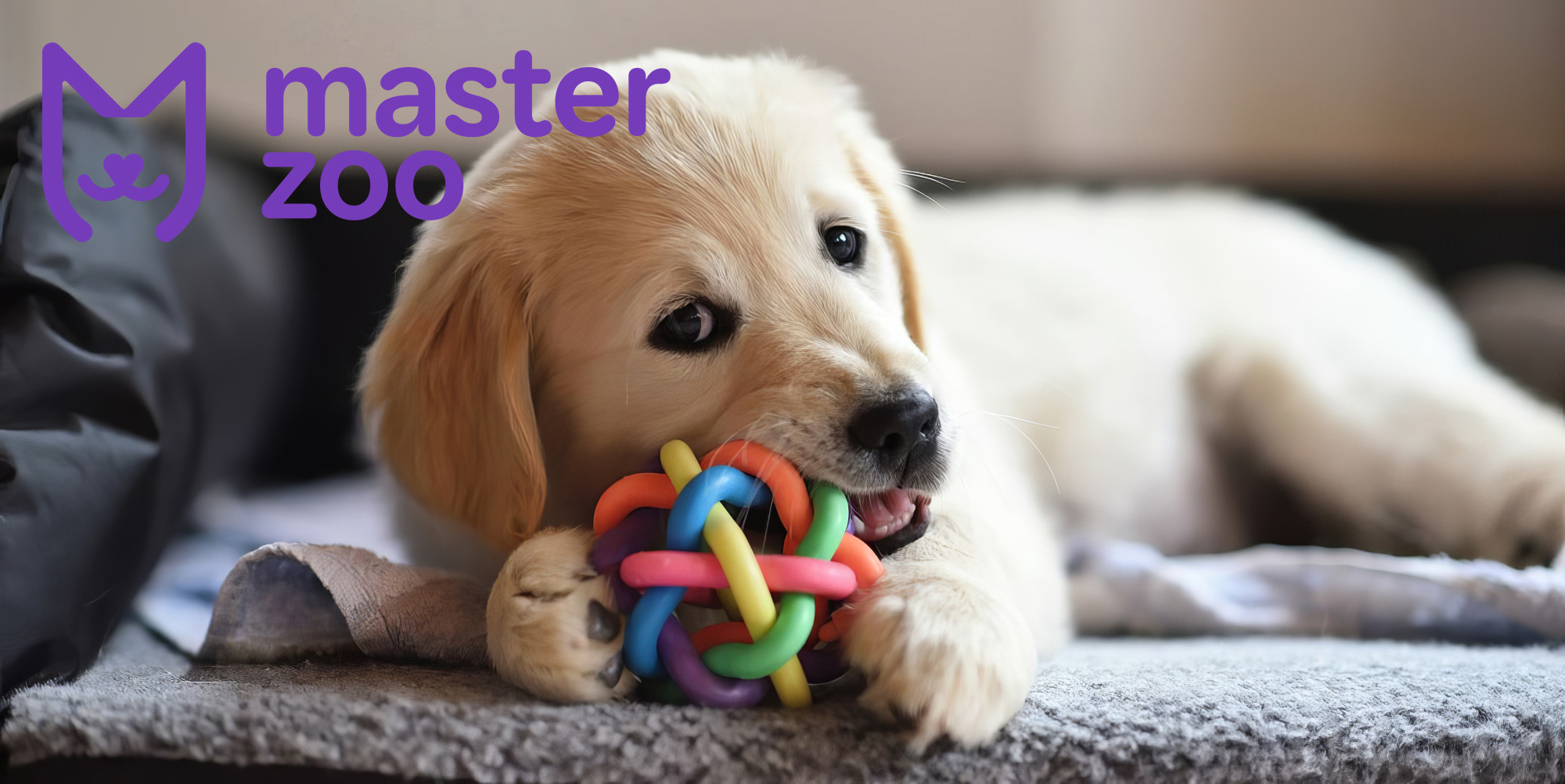 Іграшки для собак | Зоомагазин MasterZoo